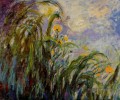 Iris Jaunes Claude Monet Fleurs impressionnistes